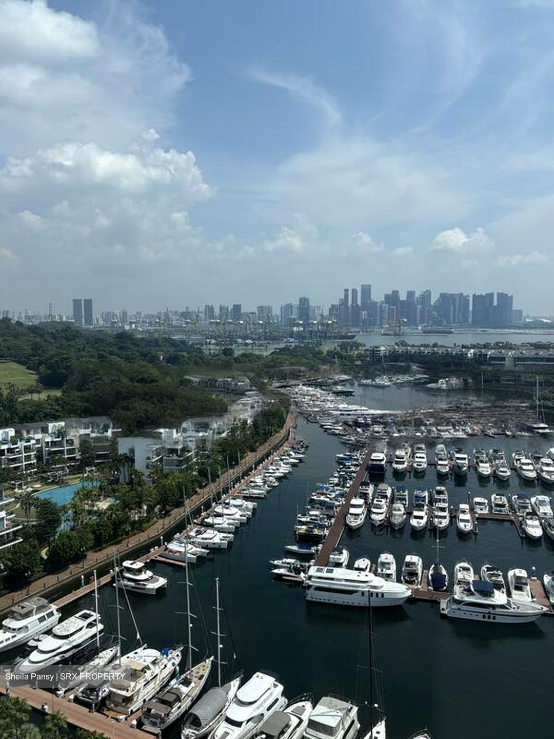 Cape Royale (D4), Condominium #486161891